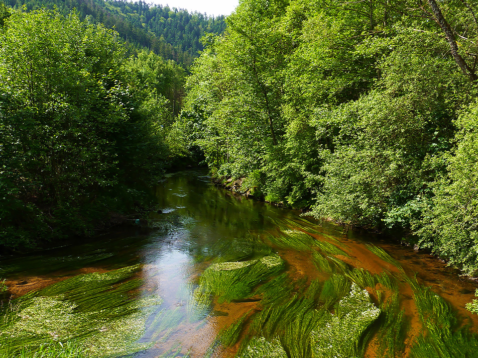You are currently viewing Restauration de la continuité écologique sur le ruisseau de la Fauvette