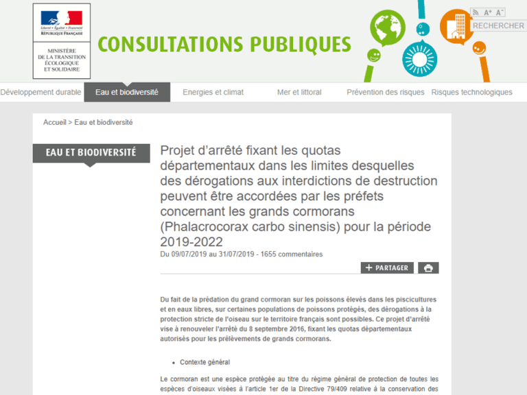 Lire la suite à propos de l’article Quota du Grand Cormoran pour 2019-2022