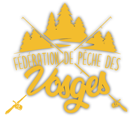 logo pour site internet