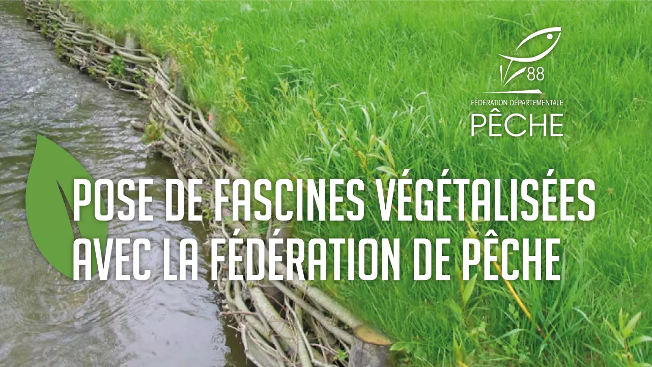 miniature travaux FD